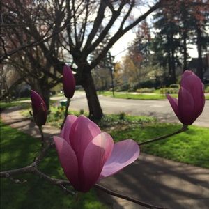 Meet your Posher, Aimee